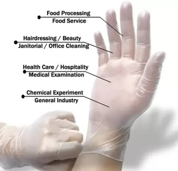 Vinyl Gloves – Powder-Free - Image 6