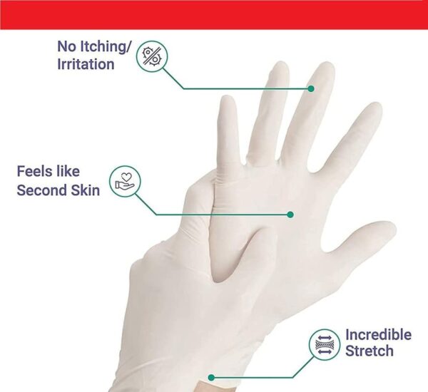 Latex Examination Gloves –  Powder-Free - Image 6
