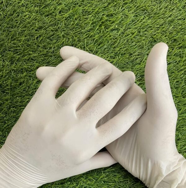 Latex Examination Gloves –  Powder-Free - Image 9