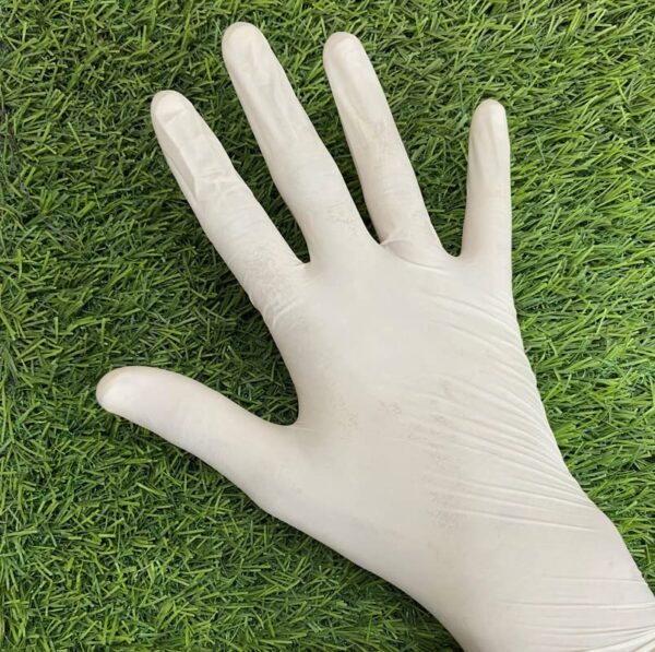 Latex Examination Gloves –  Powder-Free - Image 8