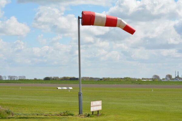  - Image 10