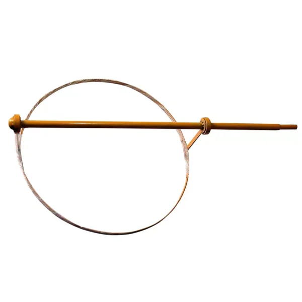  - Image 4