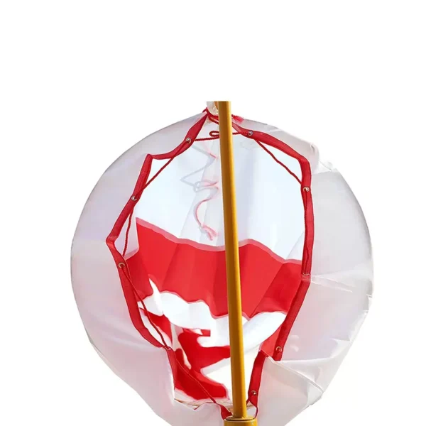  - Image 2